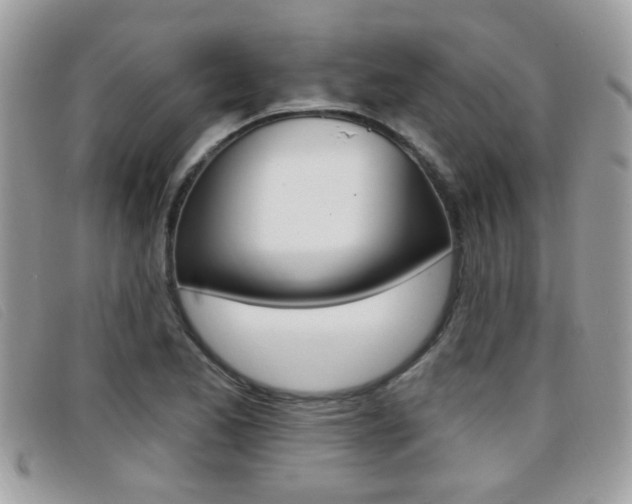 X0000096711173200802051031