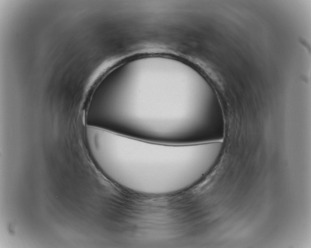 X0000096711175200802051031