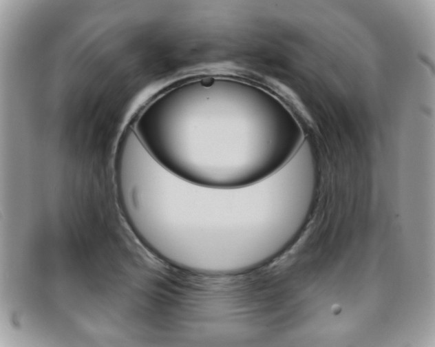 X0000096711176200802051031
