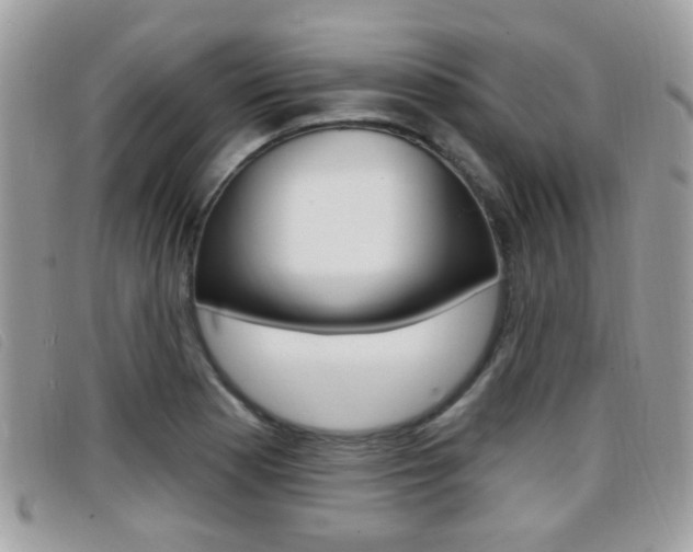 X0000096711177200802051031