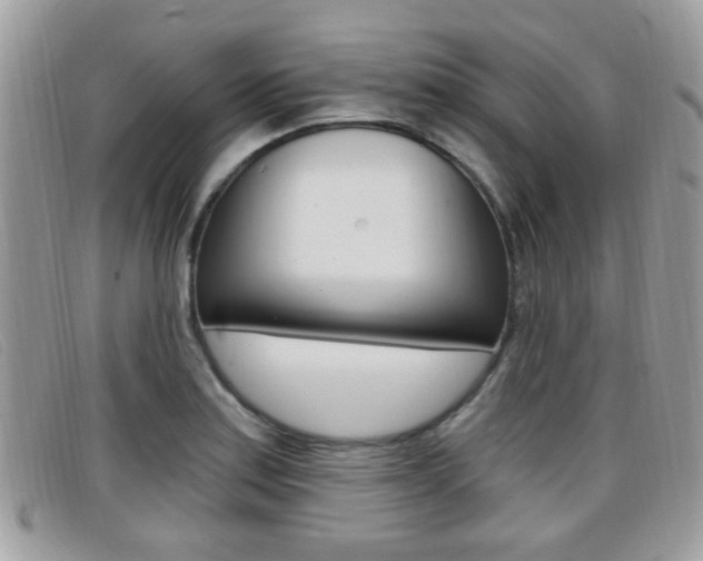 X0000096711179200802051030