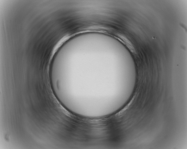X0000096711180200802051030