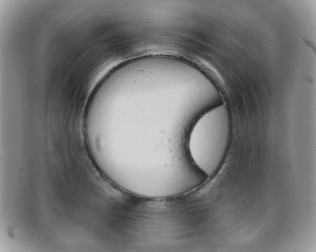 X0000096711182200802051030