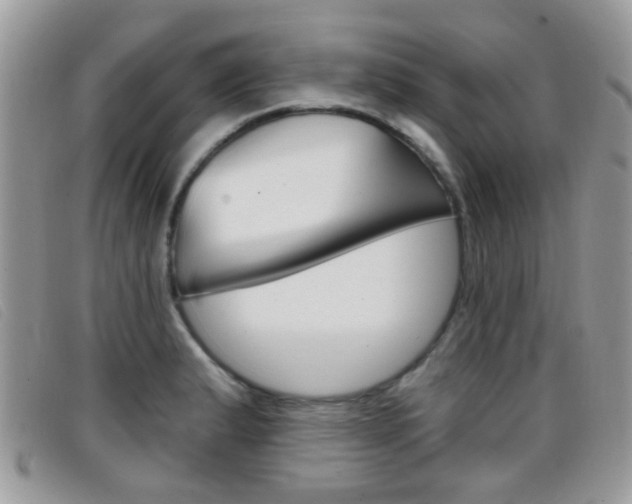 X0000096711183200802051030