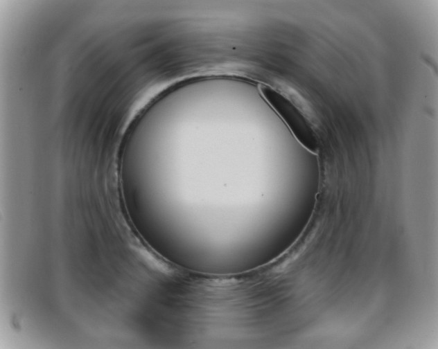 X0000096711184200802051030