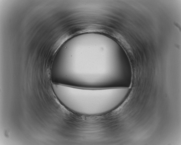 X0000096711185200802051030