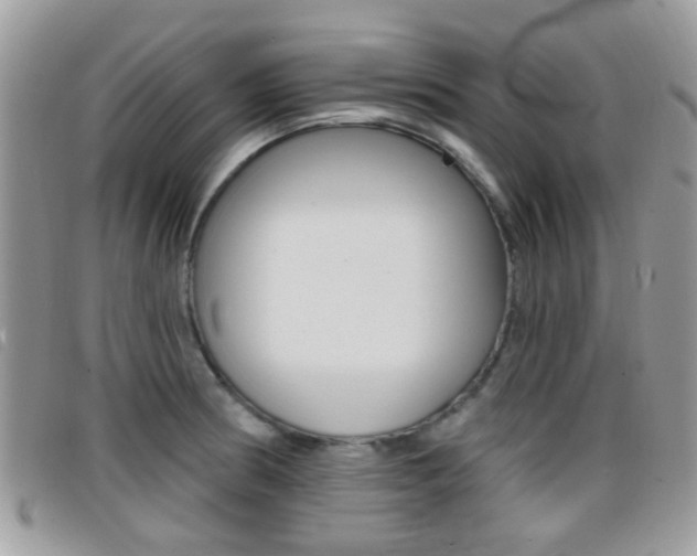 X0000096711186200802051030