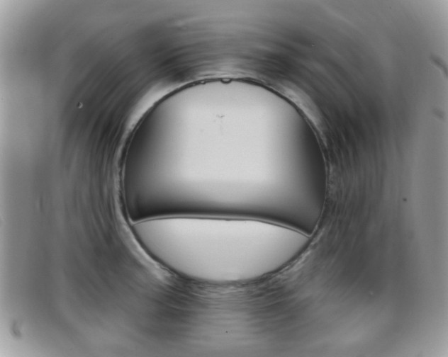 X0000096711187200802051030