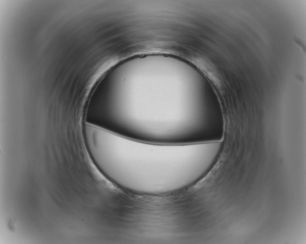 X0000096711189200802051030