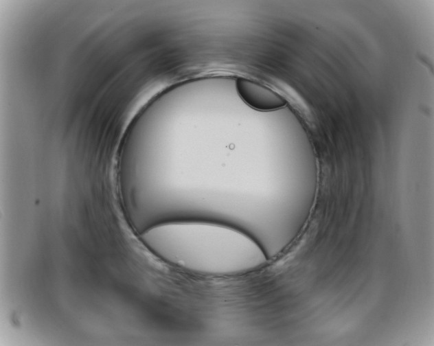 X0000096711190200802051030