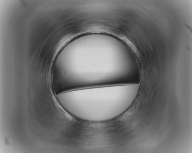 X0000096711191200802051030