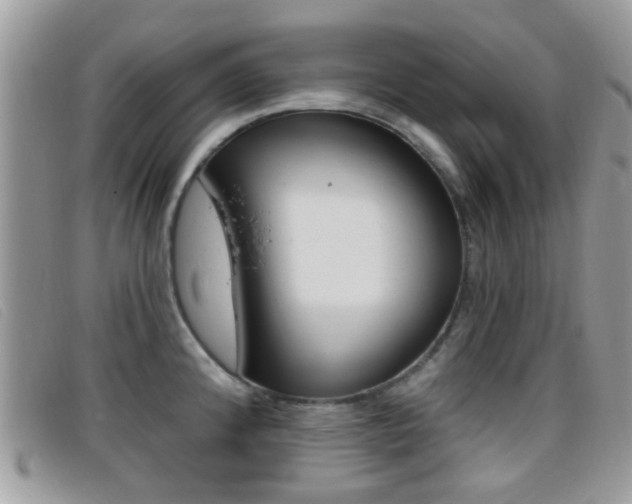 X0000096711192200802051030