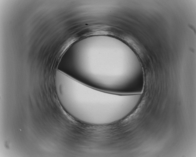 X0000096711193200802051030