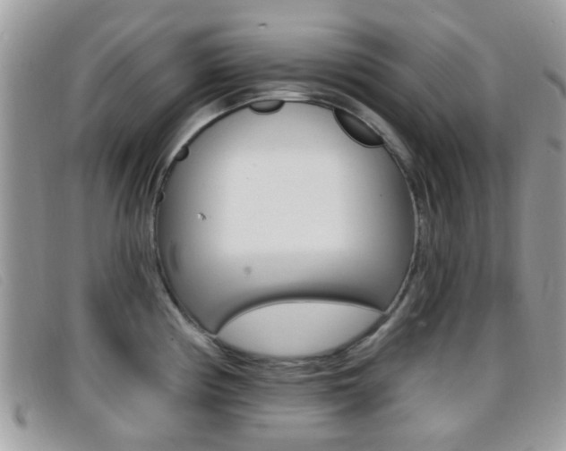 X0000096711194200802051030