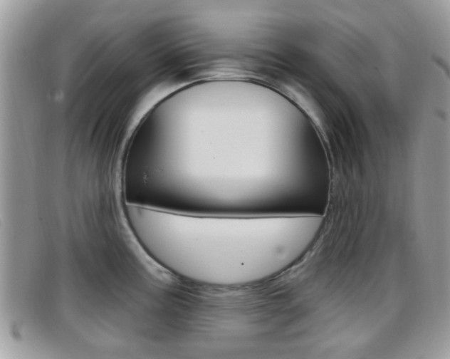 X0000096711195200802051030