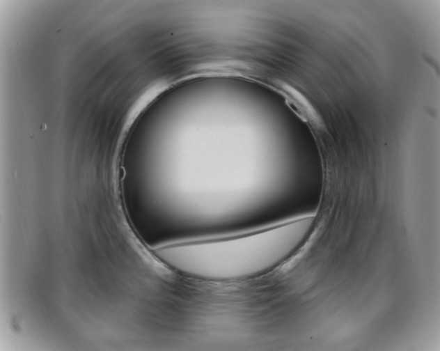 X0000096711196200802051030