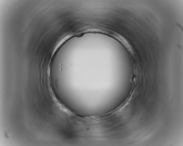 X0000096711198200802051030