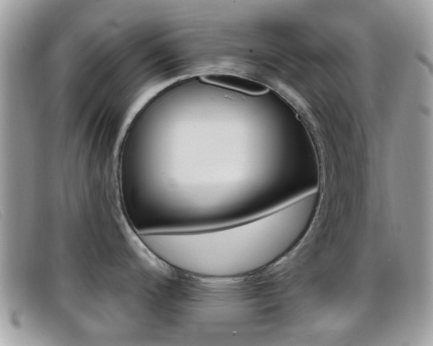 X0000096711200200802051030