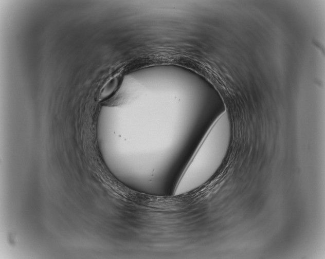 X0000096711201200802051029