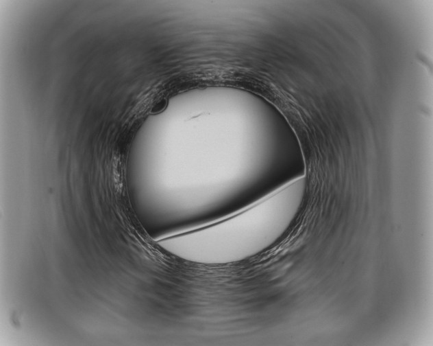 X0000096711202200802051029