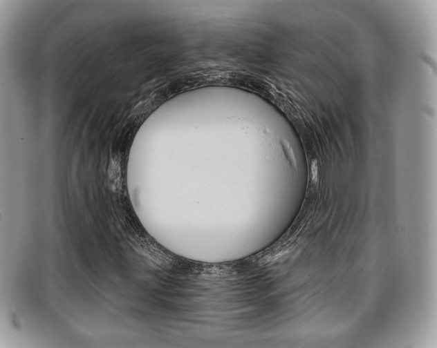 X0000096711203200802051029