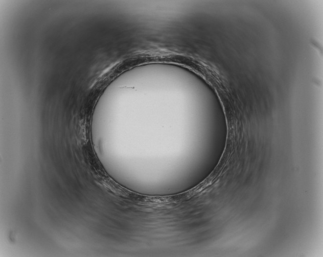 X0000096711205200802051029