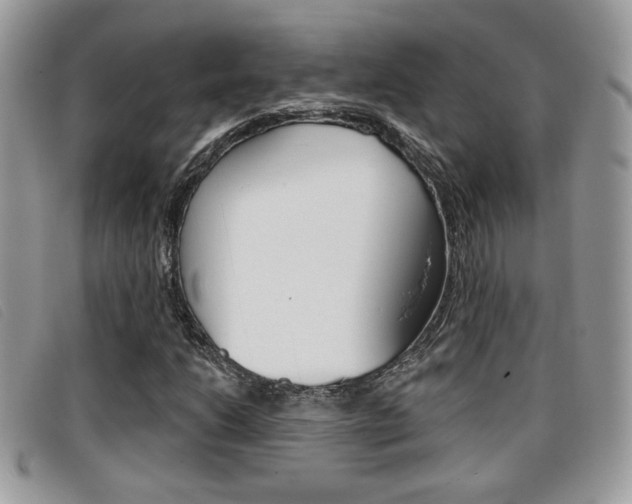X0000096711206200802051029