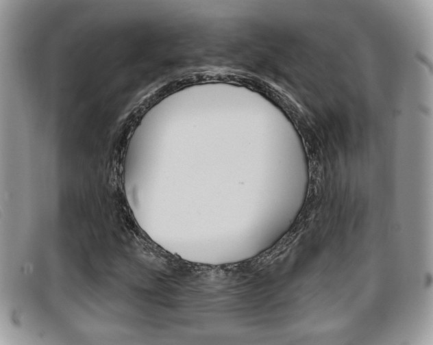 X0000096711207200802051029