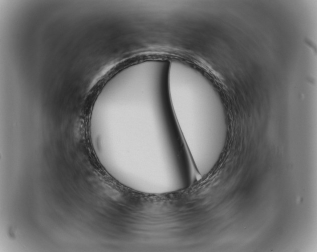 X0000096711208200802051029