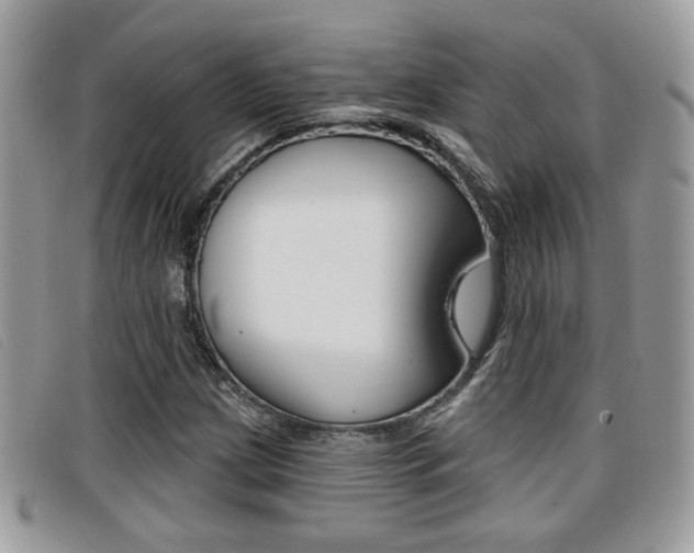 X0000096711209200802051029