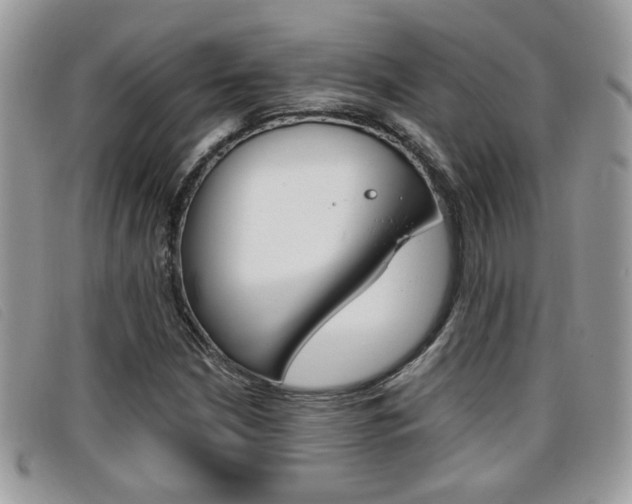 X0000096711210200802051030