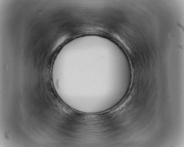 X0000096711211200802051030