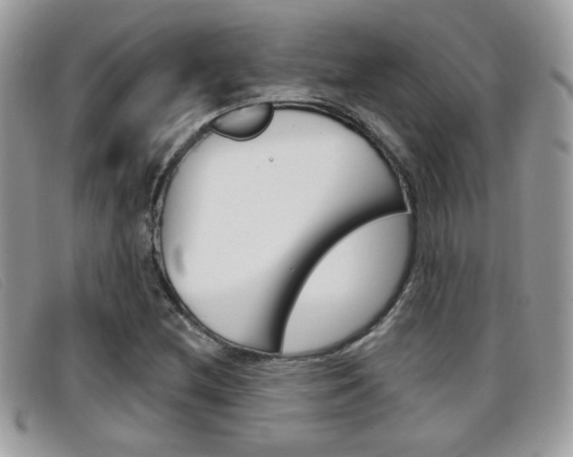 X0000096711212200802051030