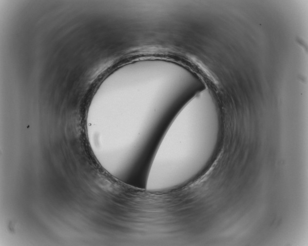 X0000096711213200802051030