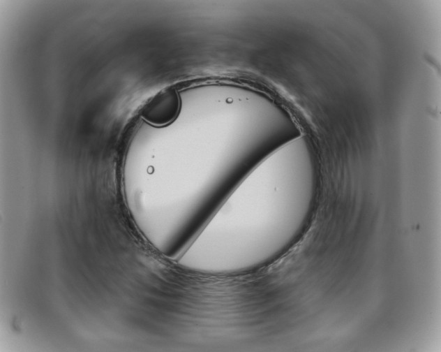 X0000096711214200802051030