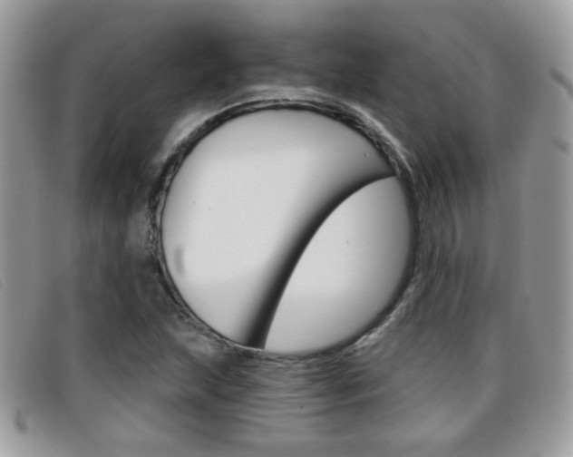 X0000096711215200802051030