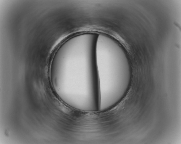 X0000096711216200802051030