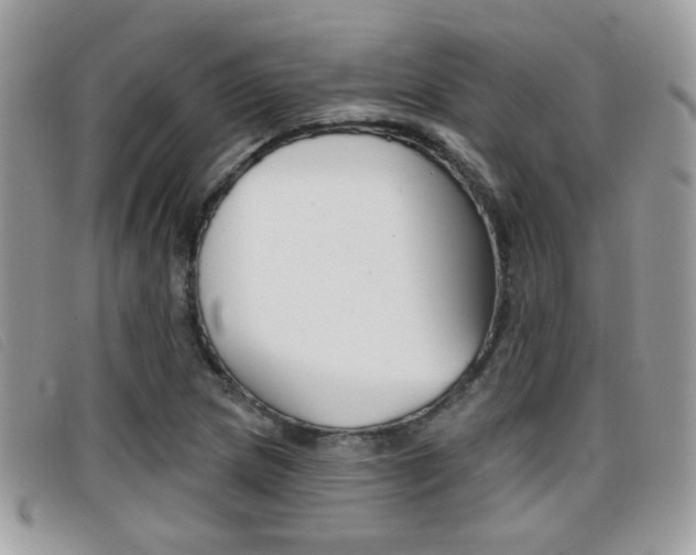 X0000096711217200802051030