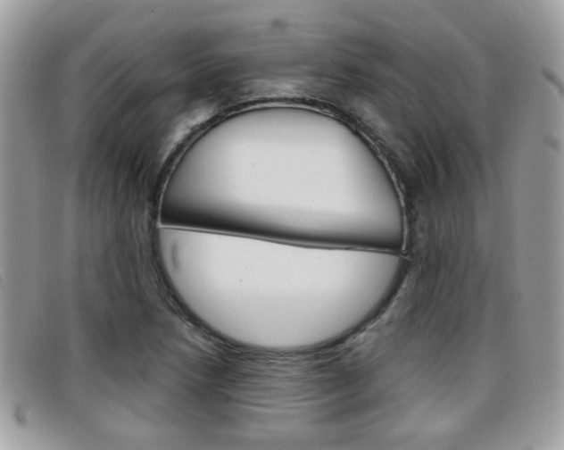 X0000096711218200802051030