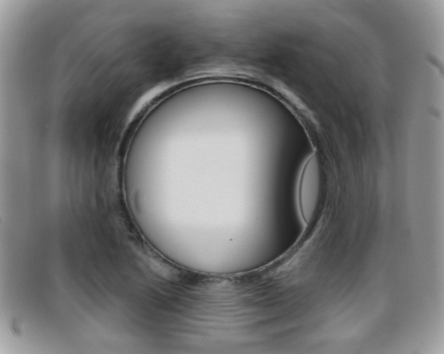 X0000096711222200802051030