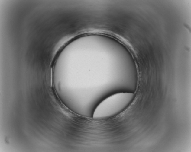 X0000096711223200802051030