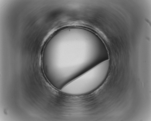 X0000096711224200802051030