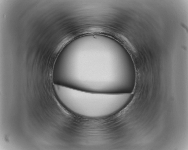 X0000096711225200802051030