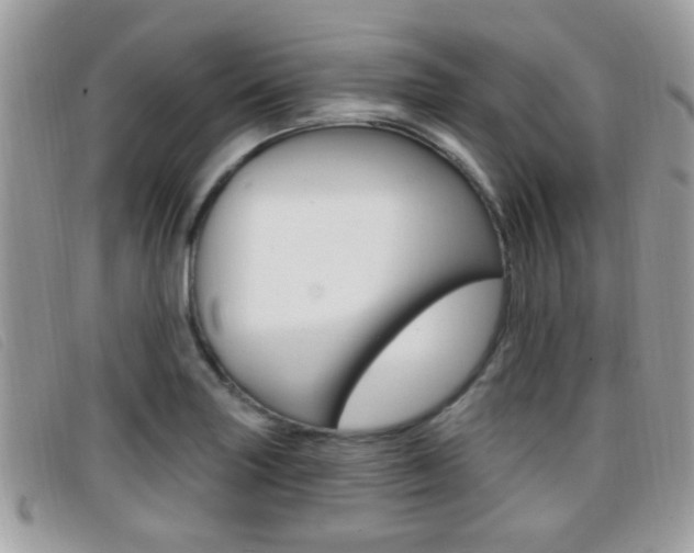 X0000096711227200802051030