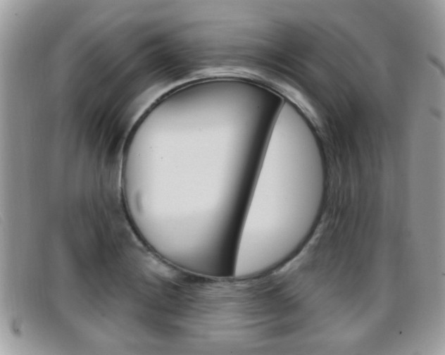 X0000096711228200802051030