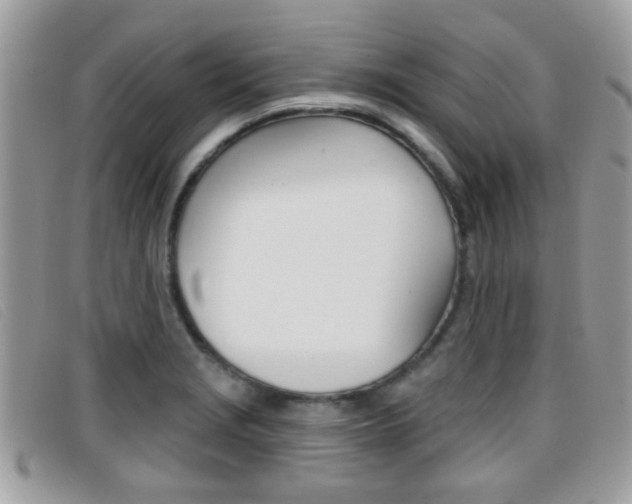 X0000096711229200802051030