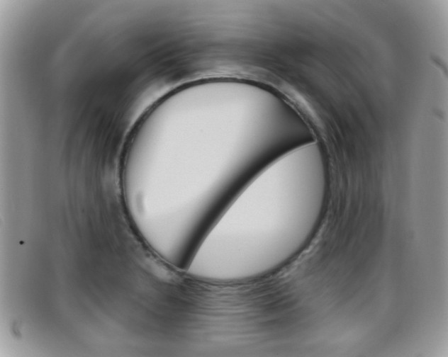 X0000096711230200802051030