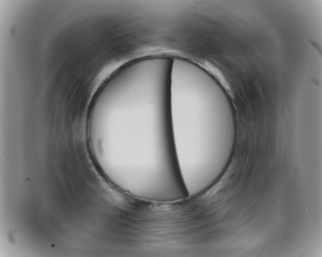 X0000096711231200802051030