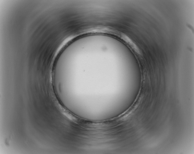 X0000096711232200802051030