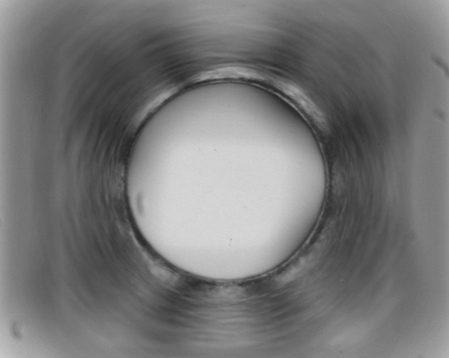 X0000096711233200802051030